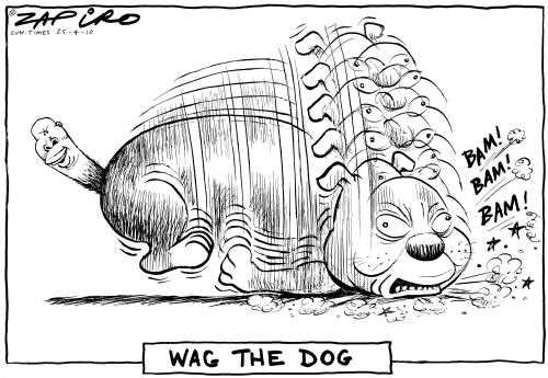 what does expression tail wagging the dog mean